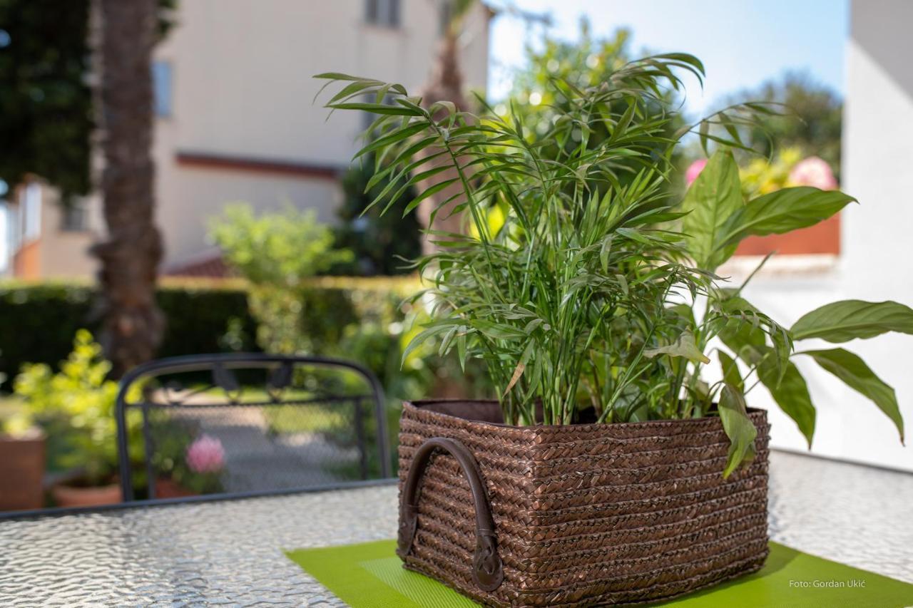 Apartman Luka Rovinj Exteriér fotografie